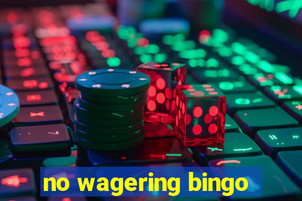 no wagering bingo