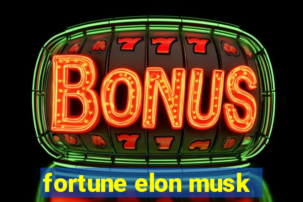 fortune elon musk