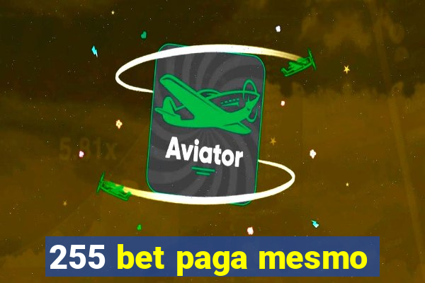 255 bet paga mesmo