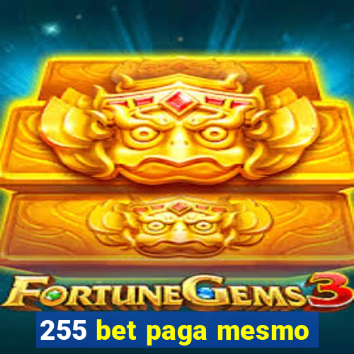 255 bet paga mesmo