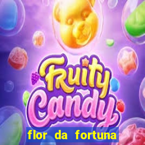 flor da fortuna como cuidar