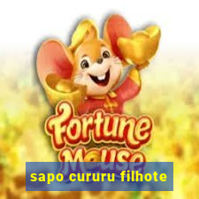 sapo cururu filhote