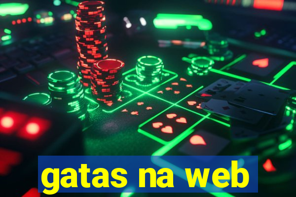 gatas na web