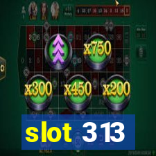 slot 313