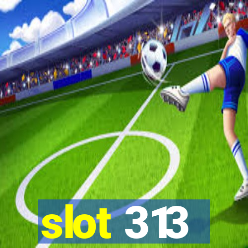 slot 313