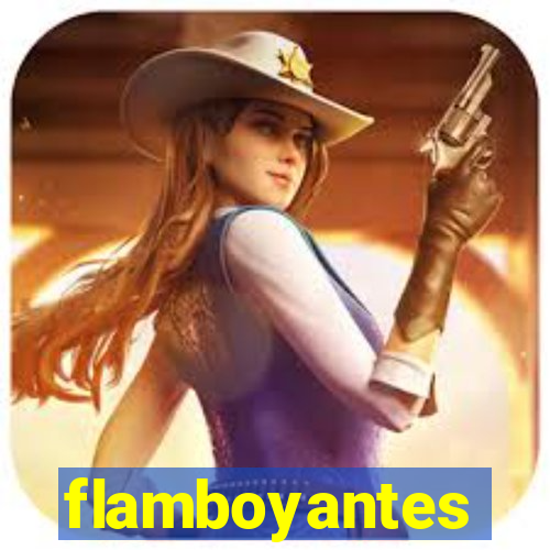 flamboyantes