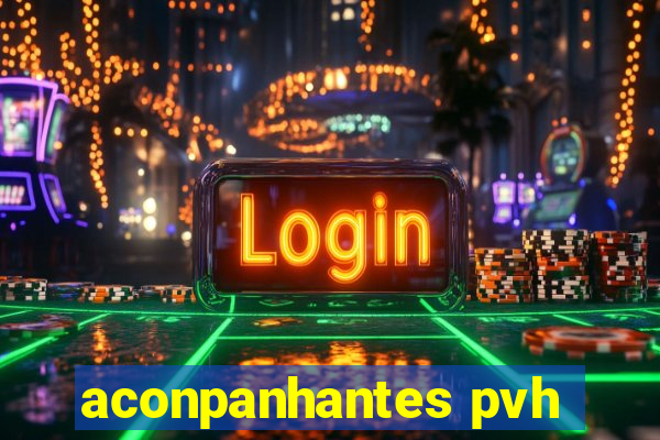 aconpanhantes pvh