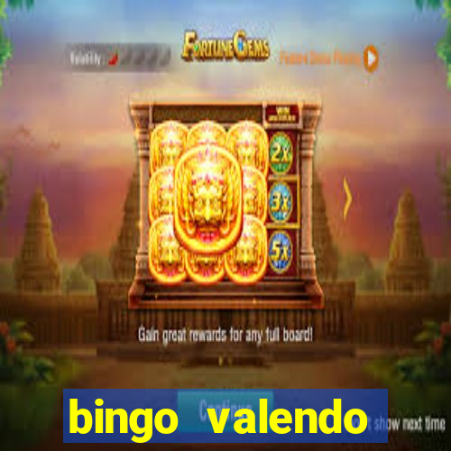 bingo valendo dinheiro online