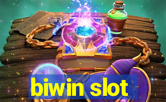 biwin slot