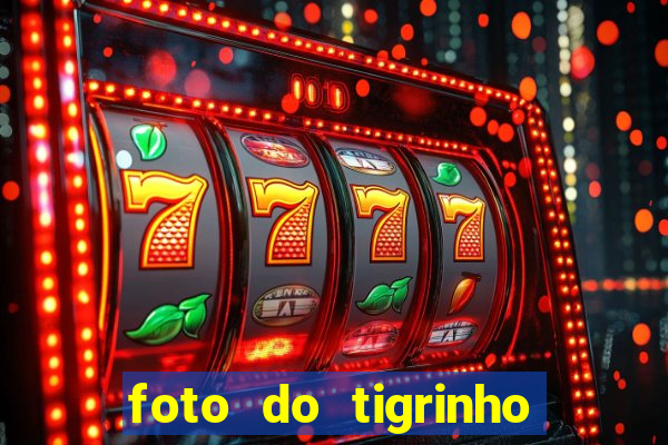 foto do tigrinho do jogo