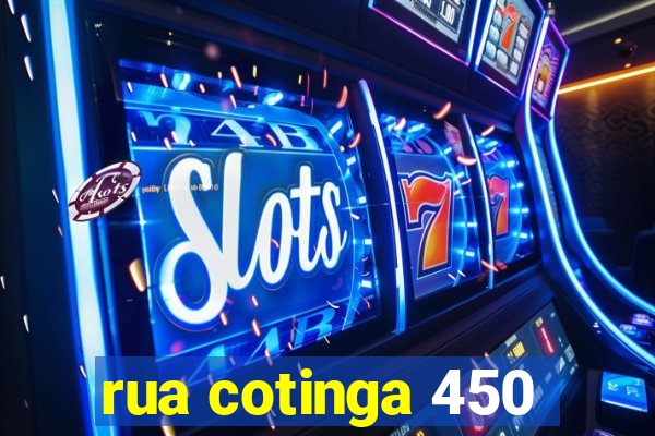 rua cotinga 450