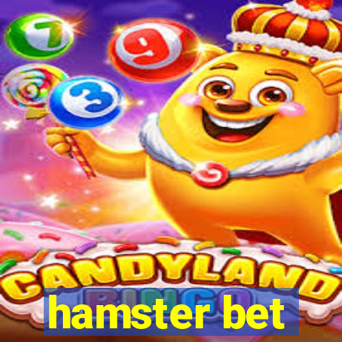 hamster bet