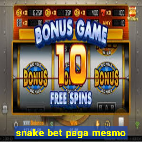 snake bet paga mesmo