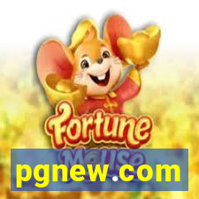 pgnew.com