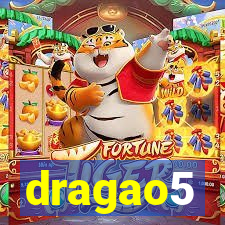 dragao5