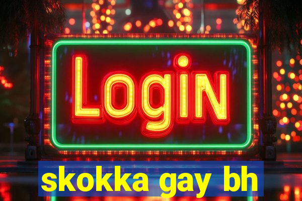 skokka gay bh