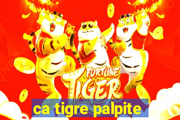 ca tigre palpite