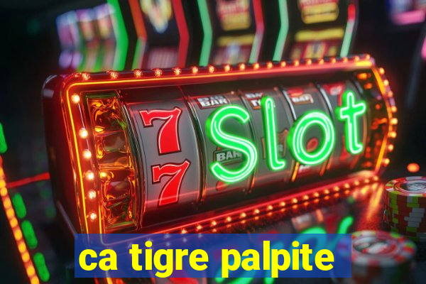 ca tigre palpite