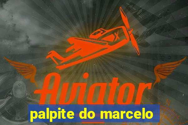 palpite do marcelo