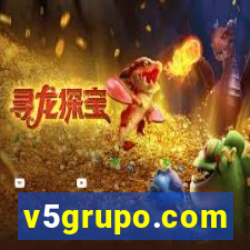 v5grupo.com