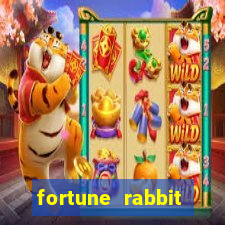 fortune rabbit teste Informational