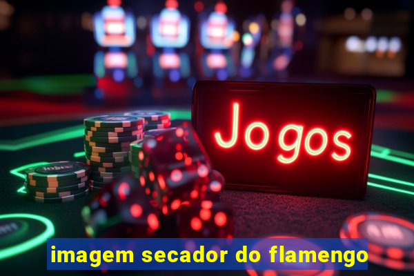 imagem secador do flamengo