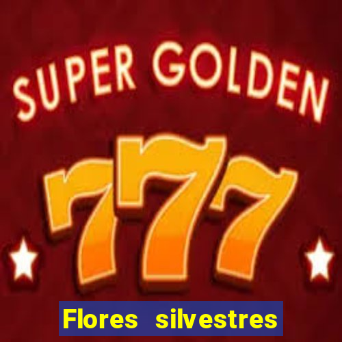 Flores silvestres brasileiras 25