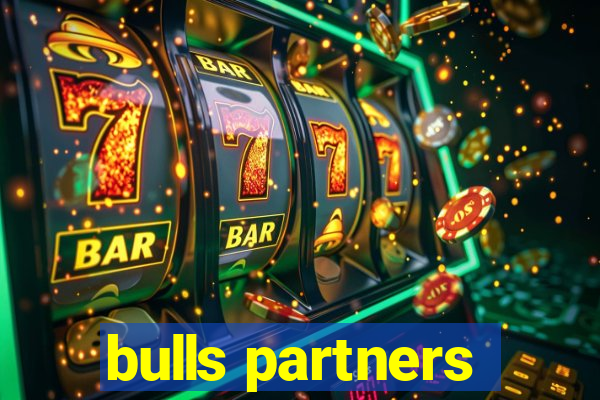 bulls partners