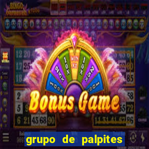 grupo de palpites de futebol