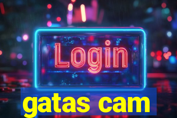 gatas cam