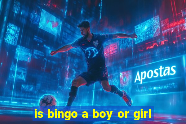 is bingo a boy or girl