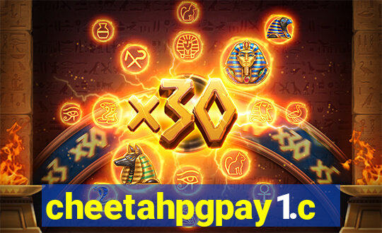 cheetahpgpay1.com