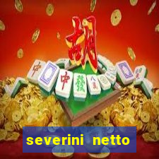 severini netto comercial ltda