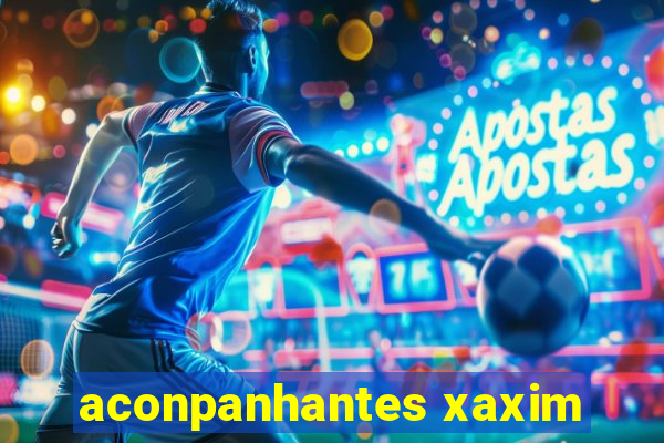 aconpanhantes xaxim