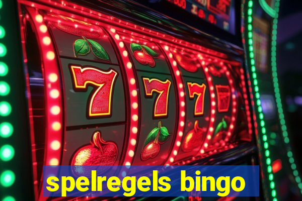 spelregels bingo