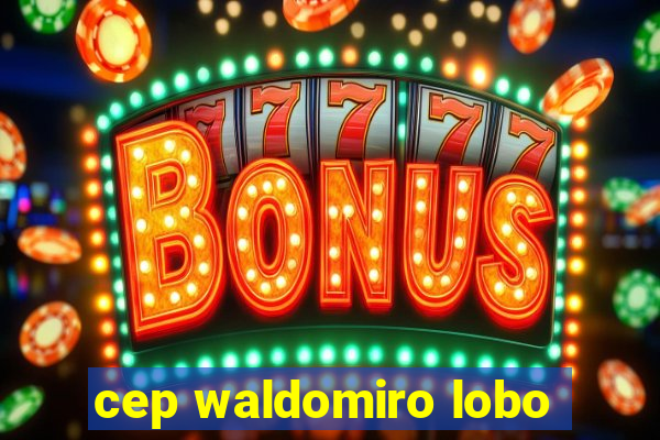 cep waldomiro lobo