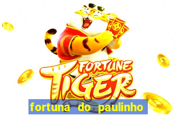 fortuna do paulinho do roupa nova