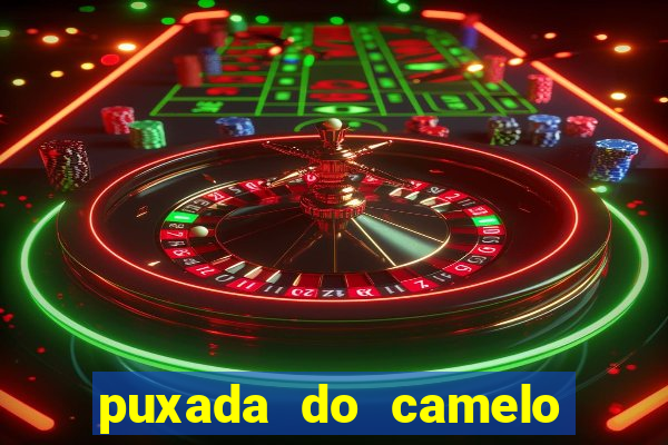 puxada do camelo no jogo do bicho