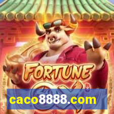 caco8888.com