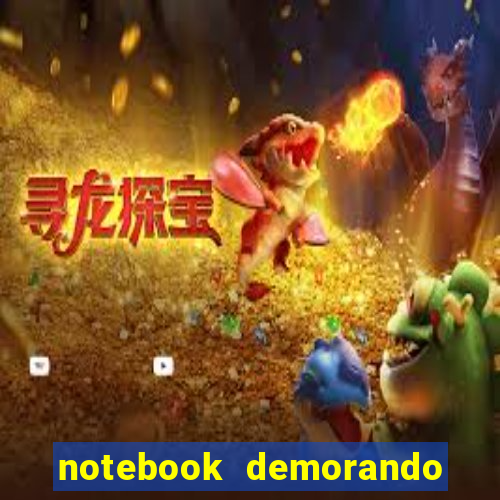 notebook demorando para ligar tela preta