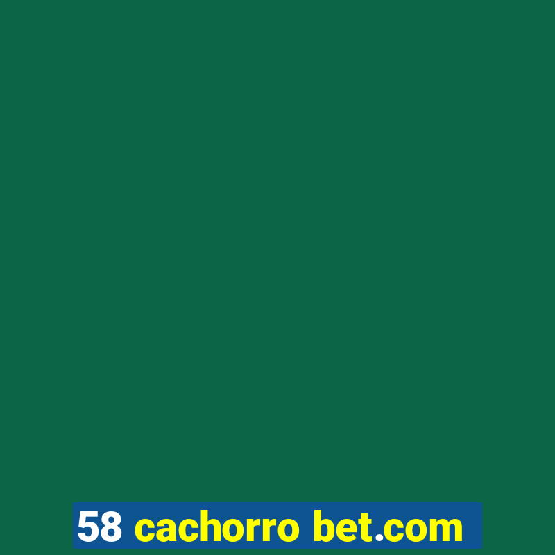 58 cachorro bet.com