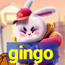 gingo