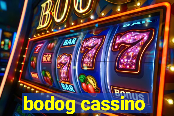 bodog cassino