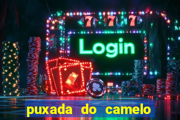 puxada do camelo jogo do bicho