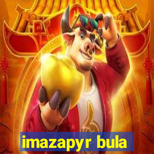 imazapyr bula