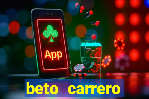 beto carrero cidades proximas