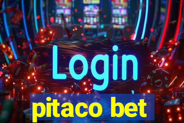 pitaco bet