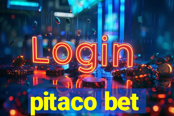 pitaco bet