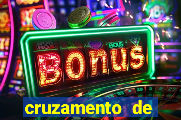 cruzamento de cavalo com mula