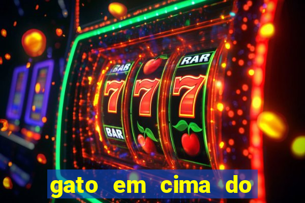 gato em cima do telhado significado espiritual